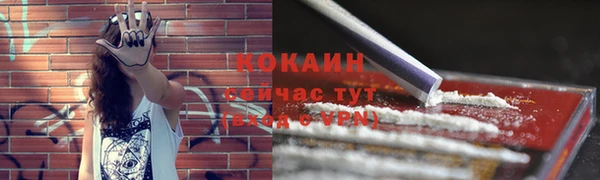 бошки Абинск
