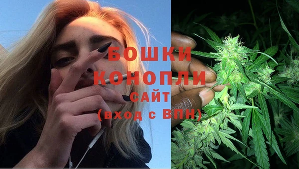 бошки Абинск