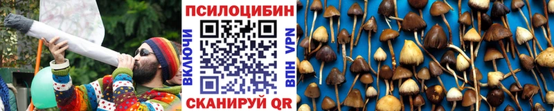 наркотики  Холм  Псилоцибиновые грибы мухоморы 